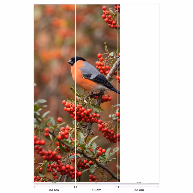 Behang - Goudvink - Bessen - Herfst - Natuur - Kleurrijk — 6
