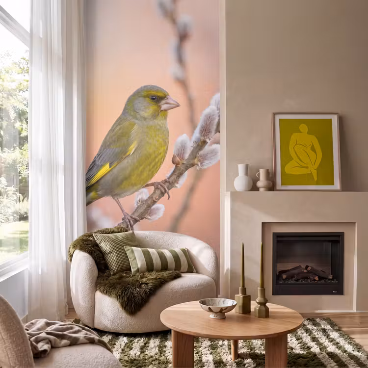 Behang - Groenling - Katjes - Lente - Natuur - Zacht — 1