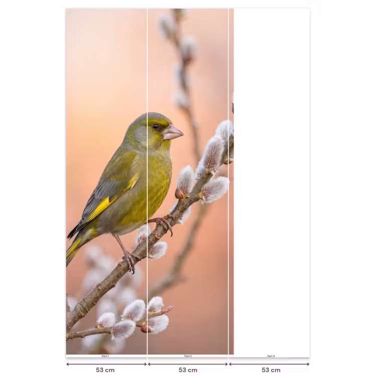 Behang - Groenling - Katjes - Lente - Natuur - Zacht — 6