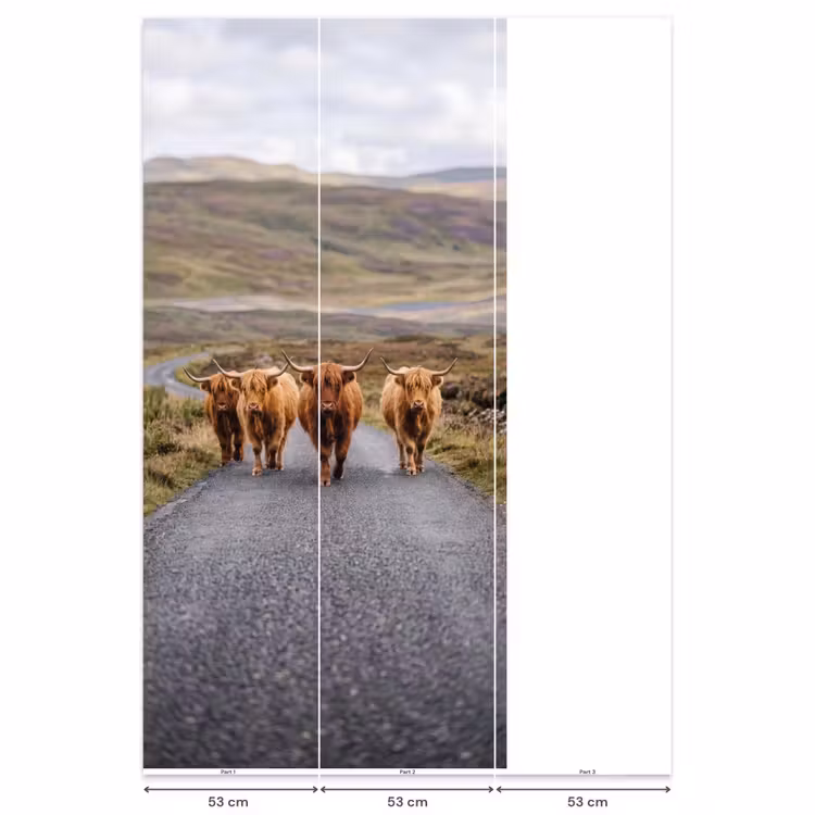 Behang - Schotse Hooglanders - Weg - Landschap - Kudde — 6