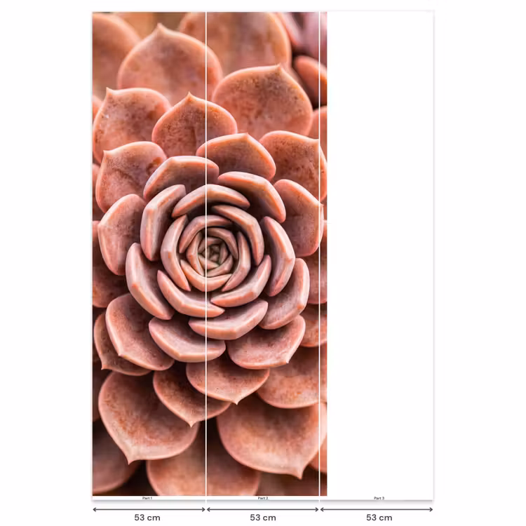 Behang - Vetplant - Organisch - Roze — 6
