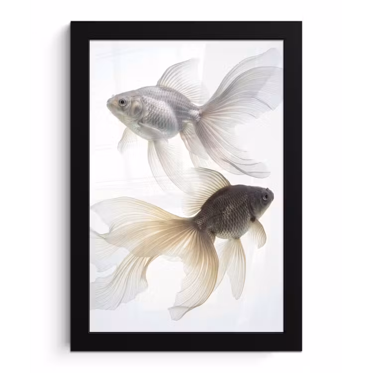 Poster met lijst - Goudvissen - Modern - Wit — 1