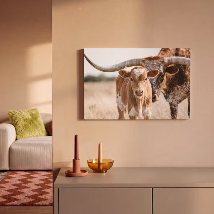 Canvas schilderij - Texas Longhorn - Kalf - Weide - Dieren — 2