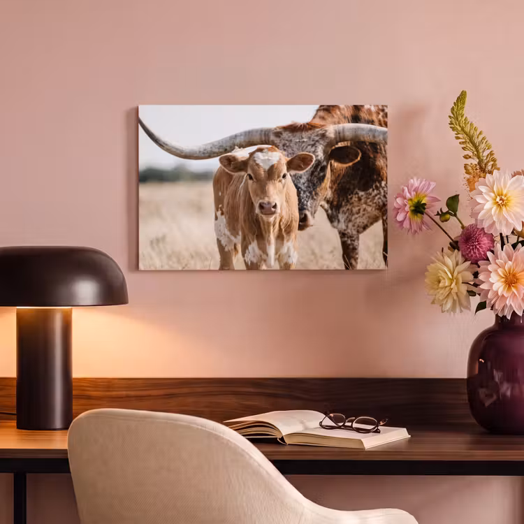 Canvas schilderij - Texas Longhorn - Kalf - Weide - Dieren — 4