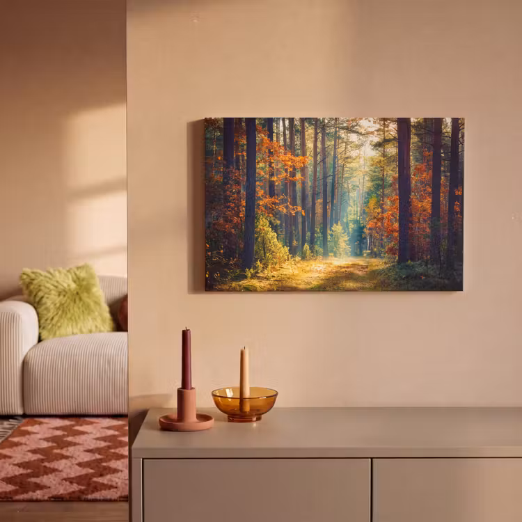 Canvas schilderij - Bos - Zon - Natuur - Herfst — 2