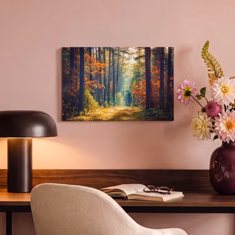 Canvas schilderij - Bos - Zon - Natuur - Herfst — 4