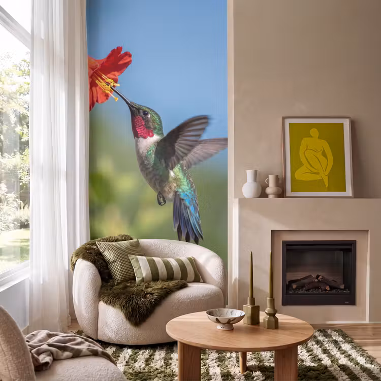 Behang - Kolibrie - Bloem - Natuur - Groen — 1