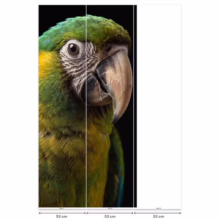 Behang - Ara - Portret - Groen — 6