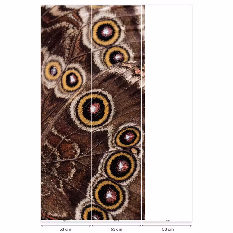 Behang - Vlinder - Vleugel - Abstract — 6