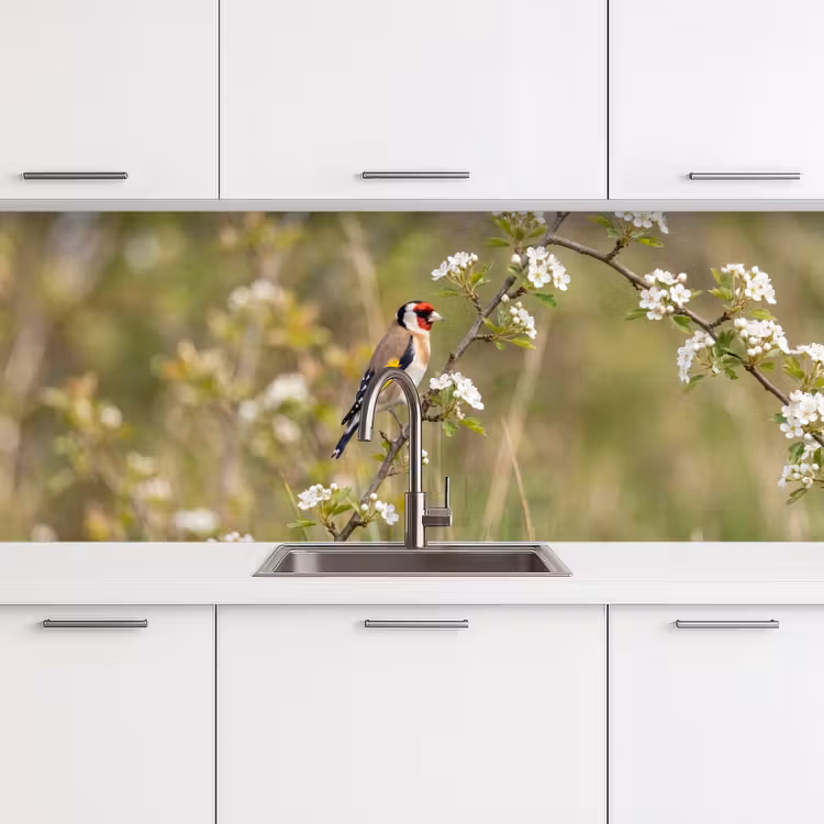 Keuken achterwand - Putter - Bloesem - Lente - Natuur - Kleurrijk — 4