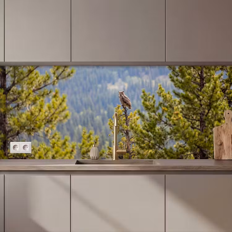 Keuken achterwand - Uil - Oehoe - Bomen - Natuur — 1