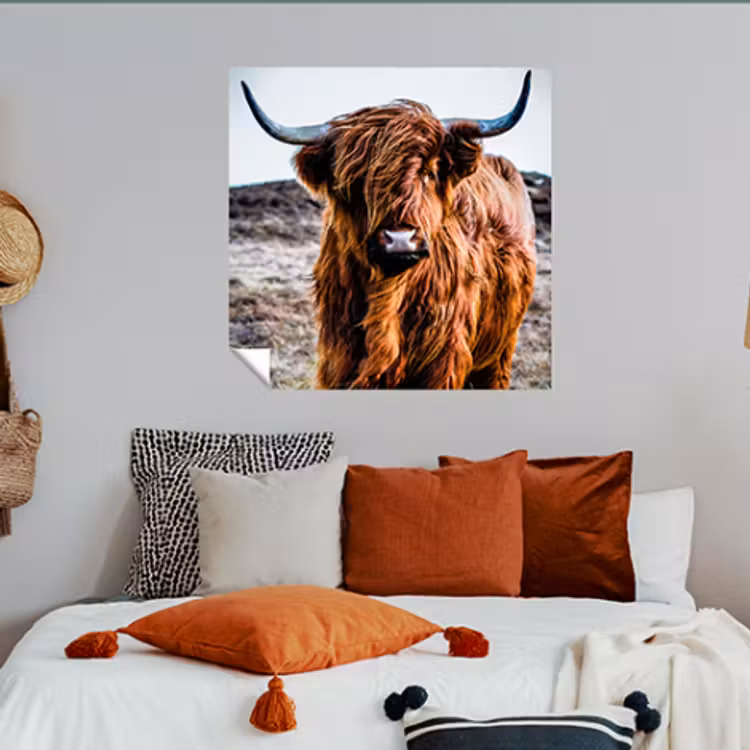 Foto op muursticker — 5