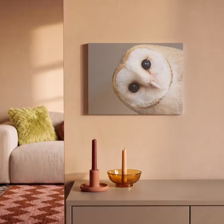 Akoestisch schilderij - Uil - Bruin - Wit — 2