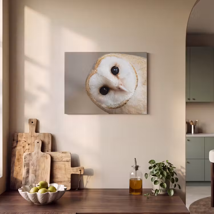 Akoestisch schilderij - Uil - Bruin - Wit — 3