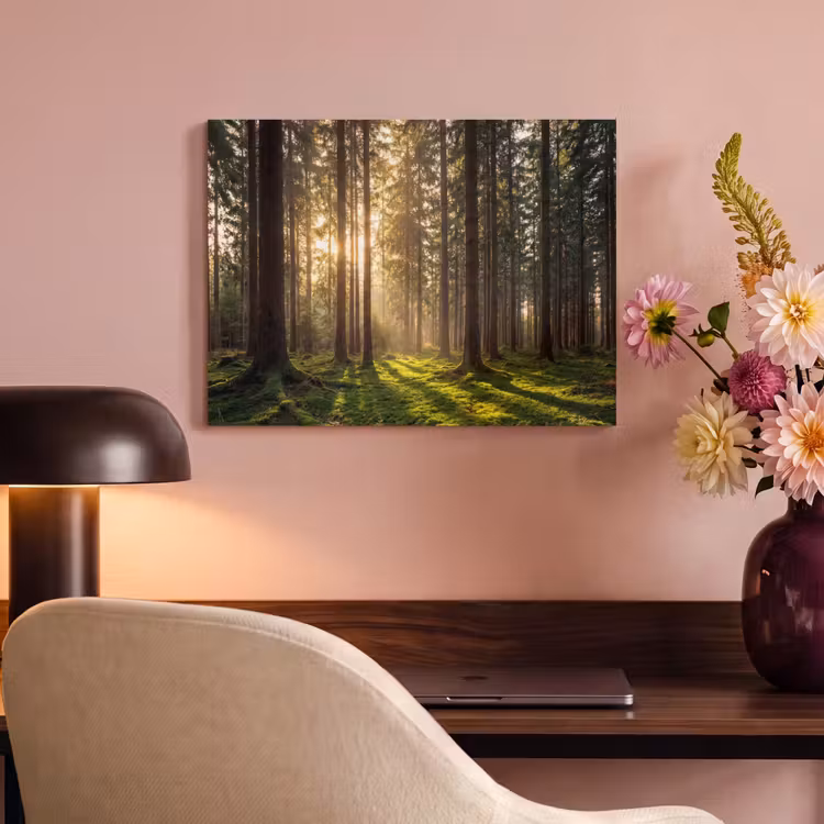 Akoestisch schilderij - Bos - Gras - Zonlicht — 4
