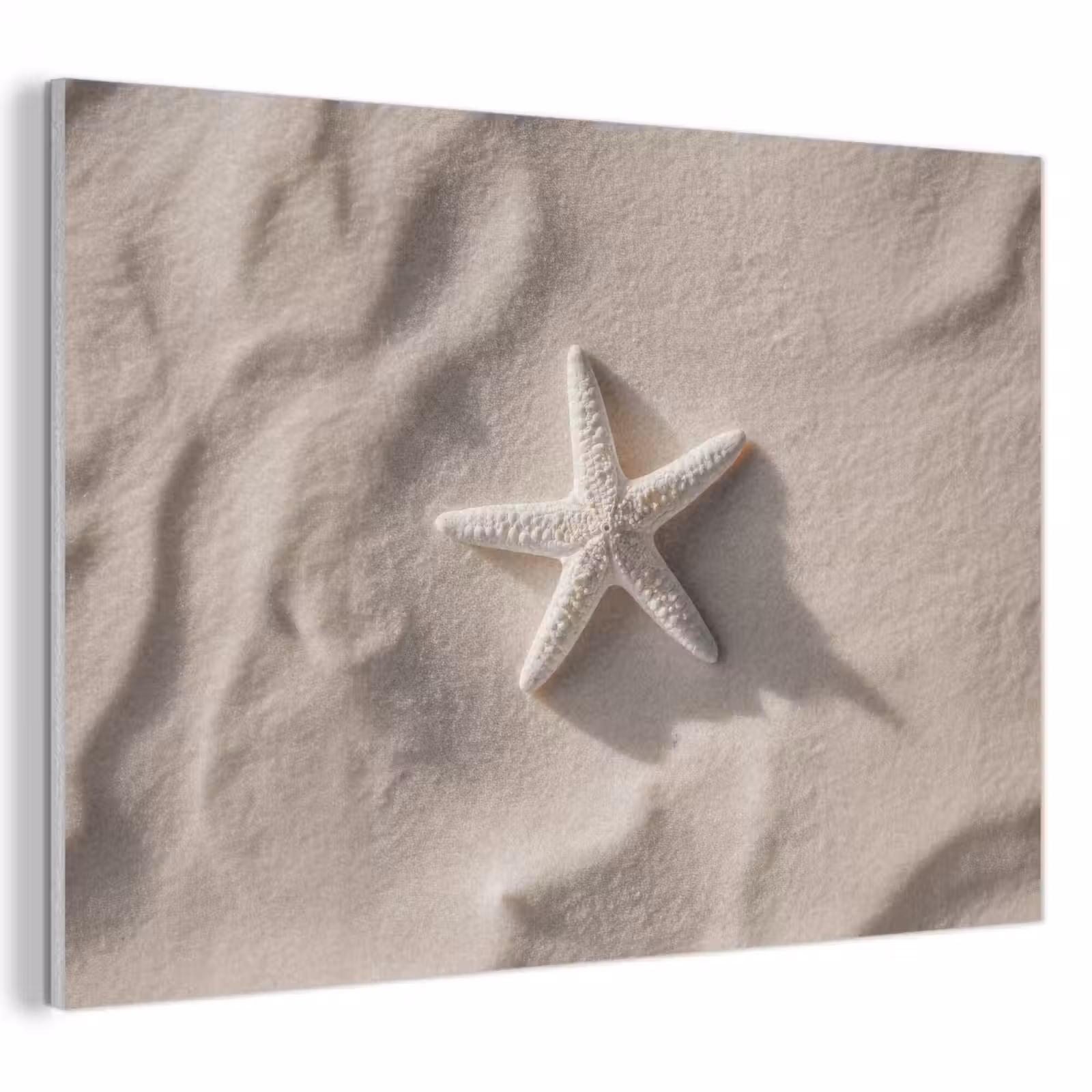 Akoestisch schilderij - Strand - Zeester - Zand - Beige — 1