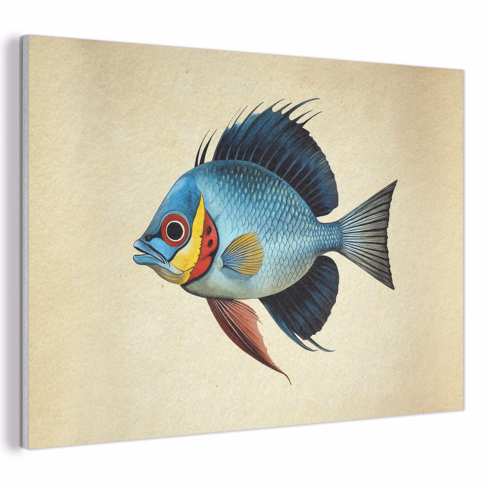 Akoestisch schilderij - Blauw - Kieuwen - Vis - Illustratie — 1