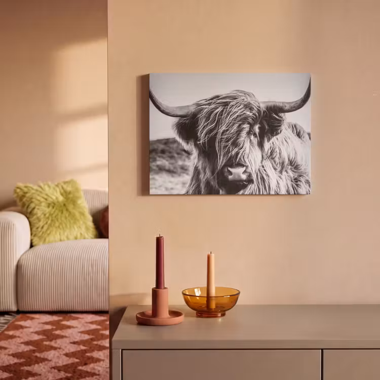 Akoestisch schilderij - Schotse hooglander - Close up - Horens - Vacht - Zwart Wit — 2