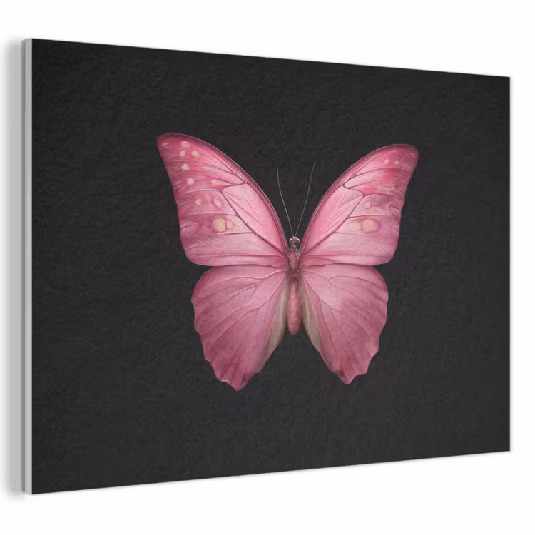 Akoestisch schilderij - Vlinder - roze - Elegant — 1