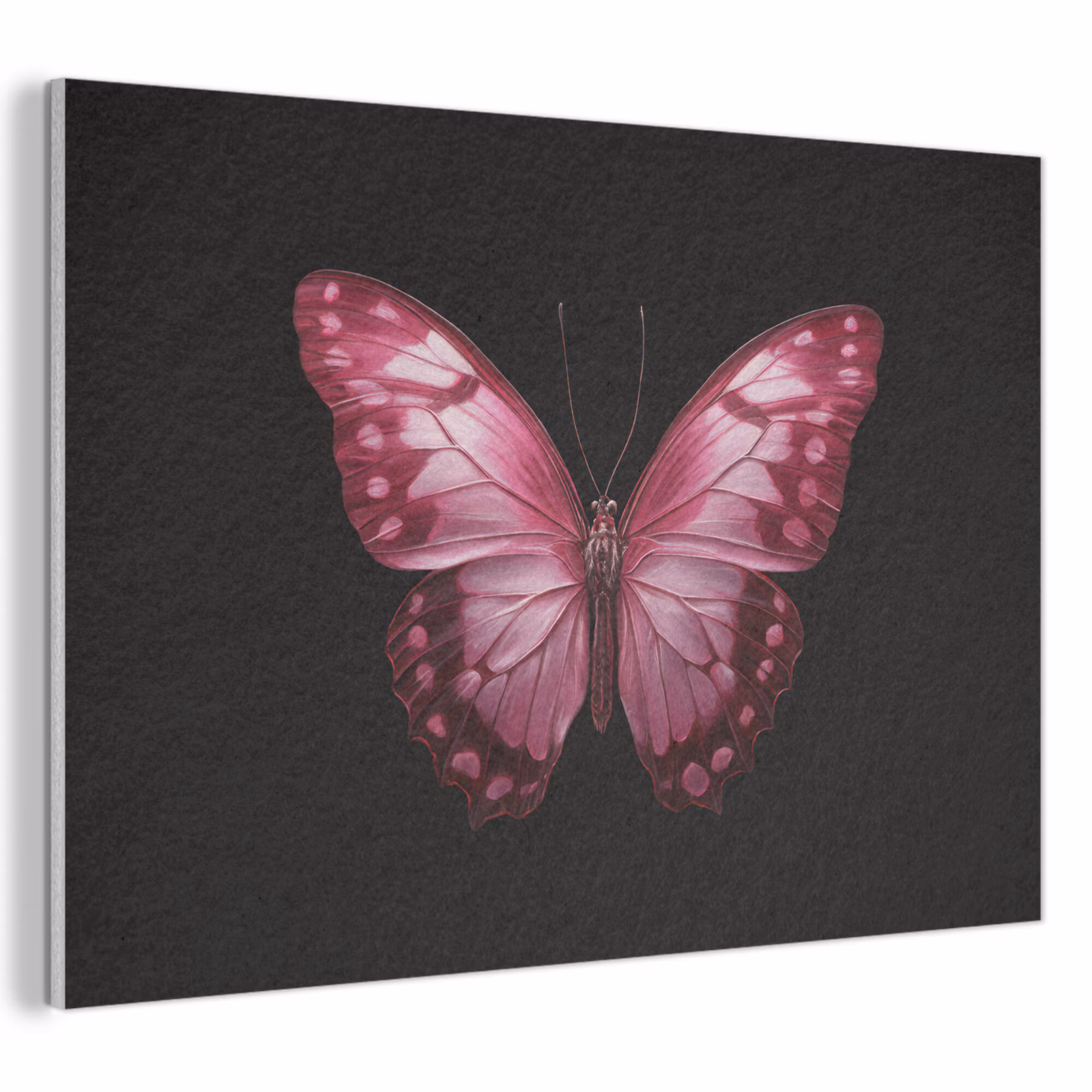 Akoestisch schilderij - Vlinder - Fuchsia - Grafisch — 1
