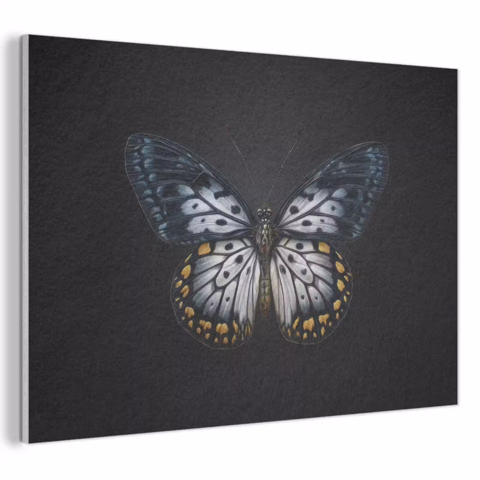 Akoestisch schilderij - Vlinder - Monochroom - Balans — 1
