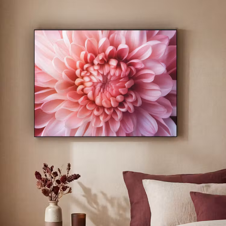 Art frame - Dahlia - Bloem - Close up - Roze — 3