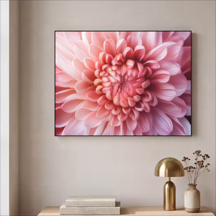 Art frame - Dahlia - Bloem - Close up - Roze — 5
