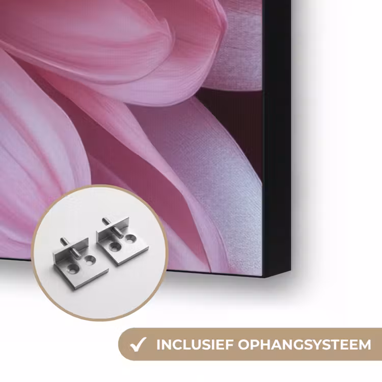 Art frame - Dahlia - Bloem - Close up - Roze — 6