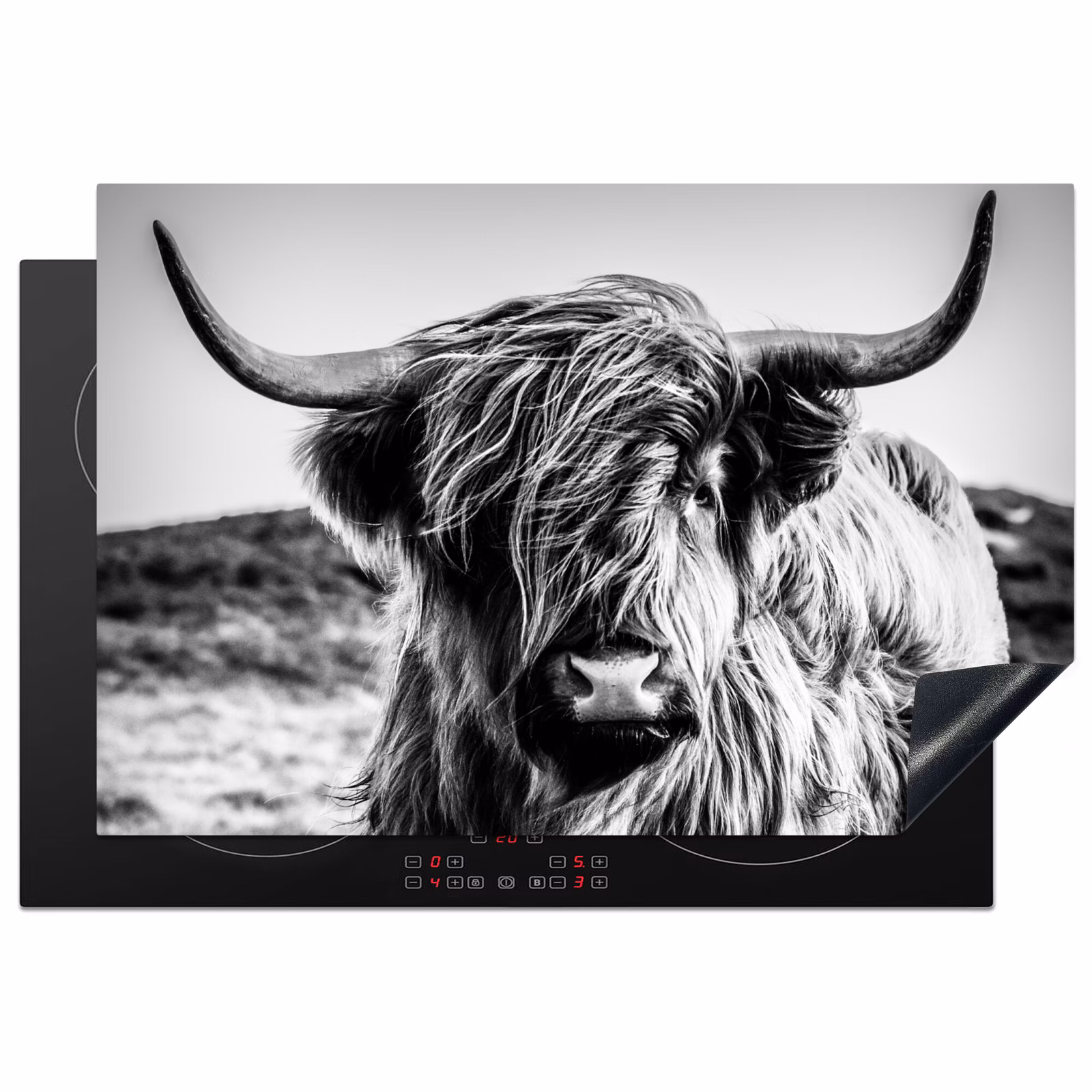Inductiebeschermer - Schotse hooglander - Natuur - Koe - Zwart - Wit — 1