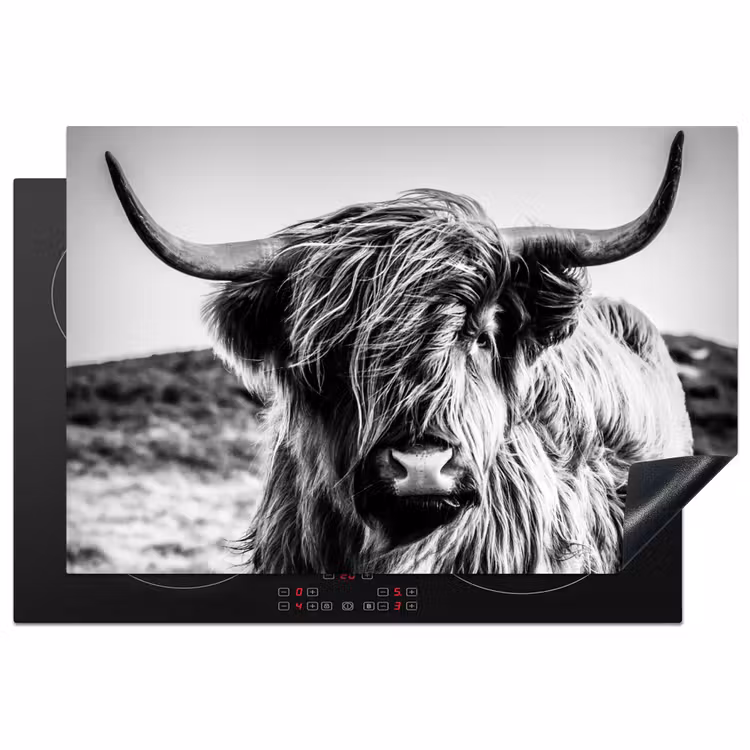 Inductiebeschermer - Schotse hooglander - Natuur - Koe - Zwart - Wit — 1