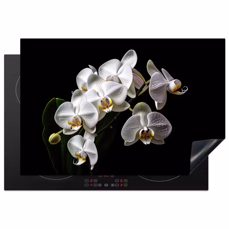 Inductiebeschermer - Dauwdruppels op Witte Orchideeën — 1