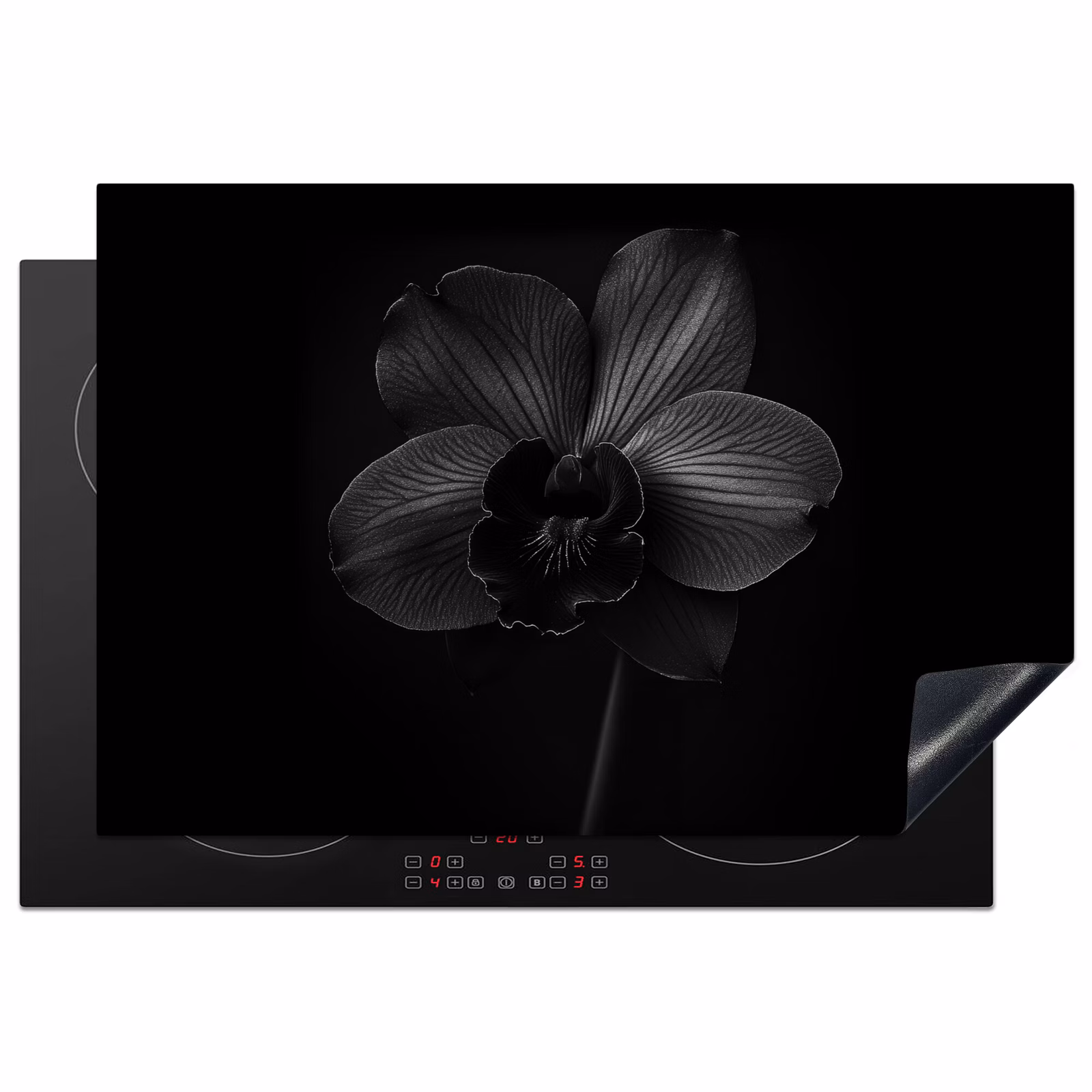 Inductiebeschermer - Zwart - Bloem - Orchidee — 1