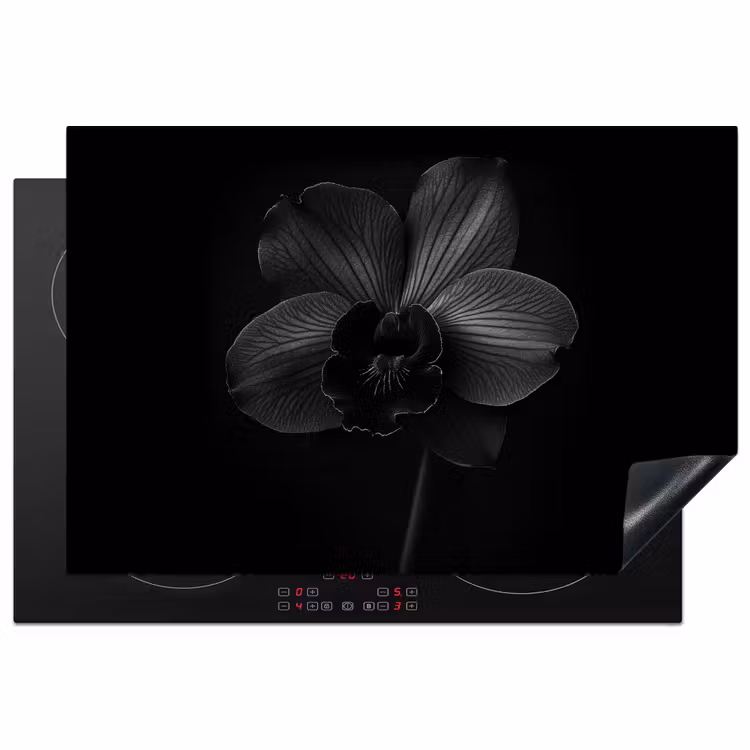 Inductiebeschermer - Zwart - Bloem - Orchidee — 1