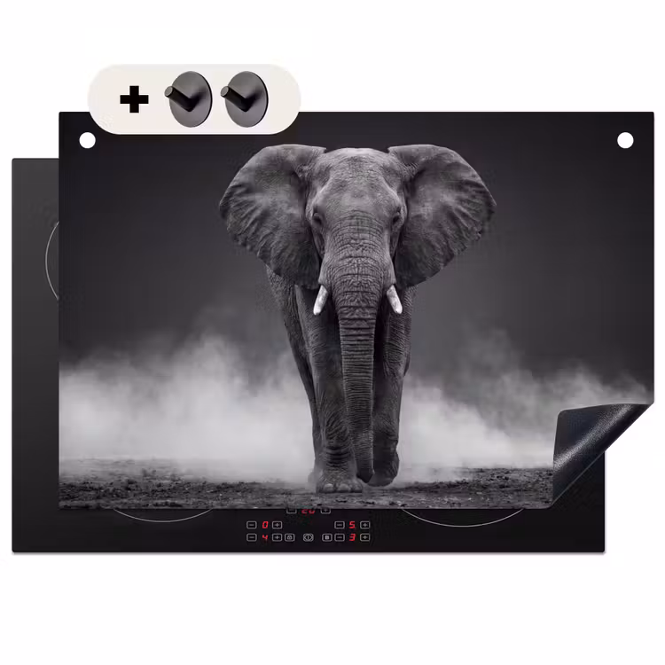 Inductiebeschermer & spatscherm (2in1) - Olifant - Zwart - Wit - Rook — 1
