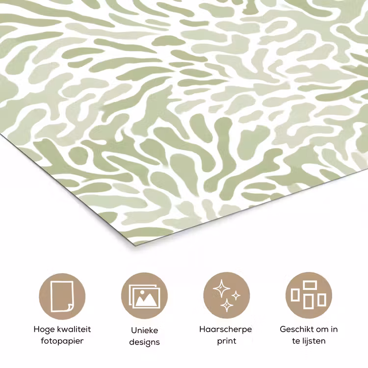 Poster - Saliegroen - Abstract - Organisch - Koraal - Patroon — 5