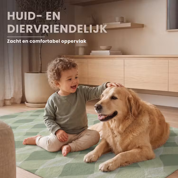 Vloerkleed - Saliegroen - Geometrisch - Organisch - Traliewerk - Patroon — 6