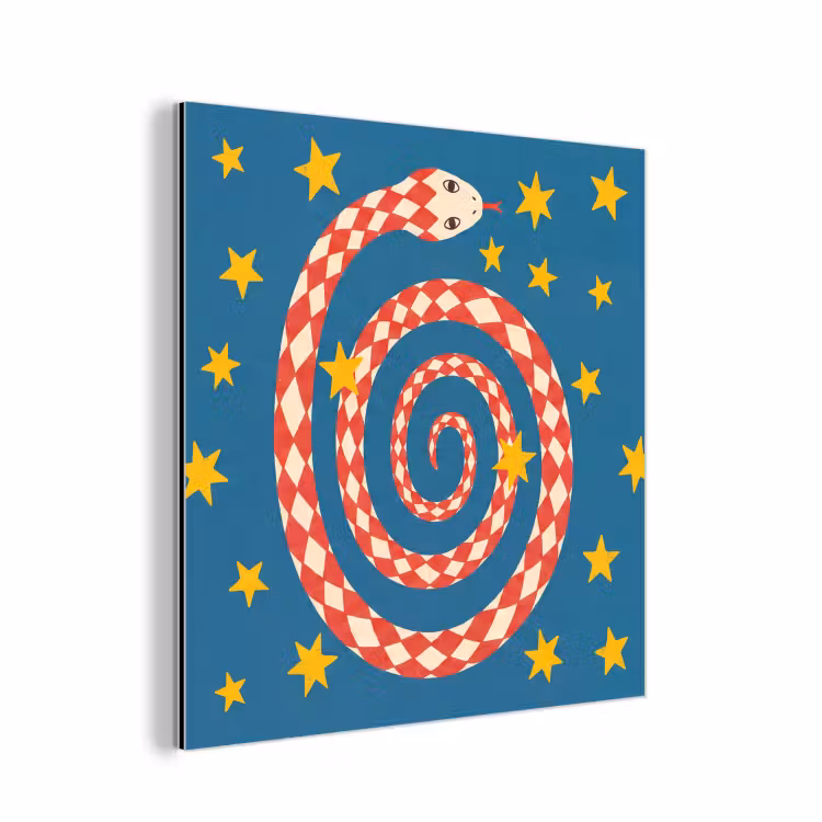 Aluminium schilderij - Slang - Spiraal - Dieren - Illustratie - Rood — 1