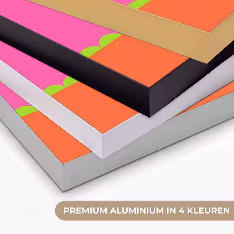 Art frame - Abstract - Geometrisch - Kleurblokken - Roze - Oranje — 2