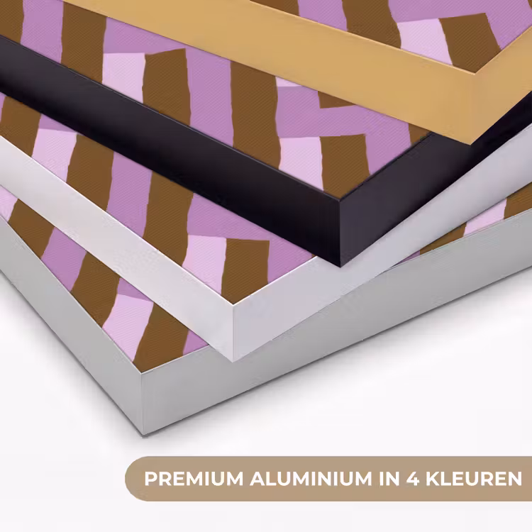 Art frame - Bruin - Roze - Geometrisch - Meander - Patroon — 2