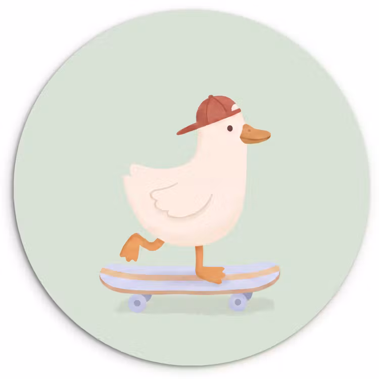 Muurcirkel - Vogel - Skateboard - Dieren - Cartoon - Speels — 1