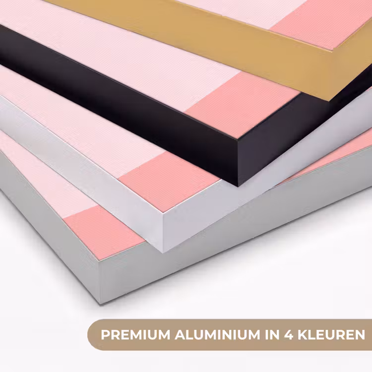 Art frame - Dieren - Skaten - Illustratie - Speels - Roze — 2
