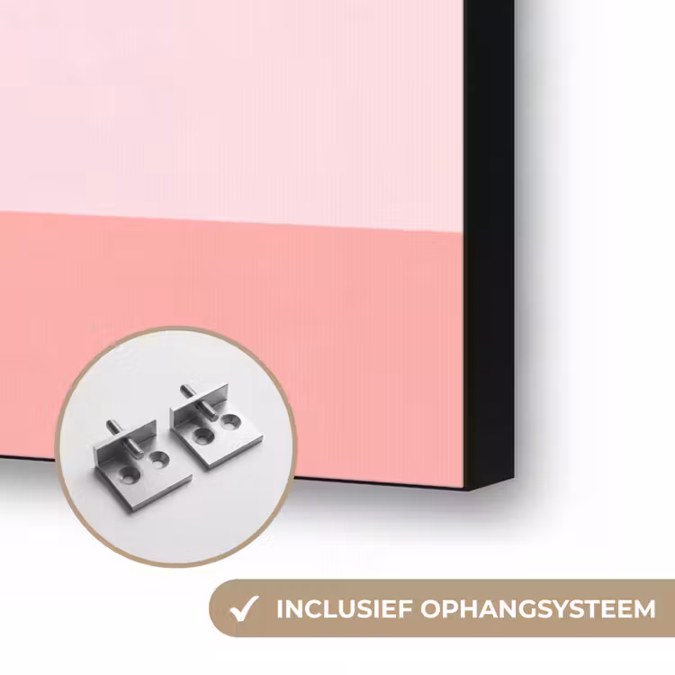 Art frame - Dieren - Skaten - Illustratie - Speels - Roze — 6