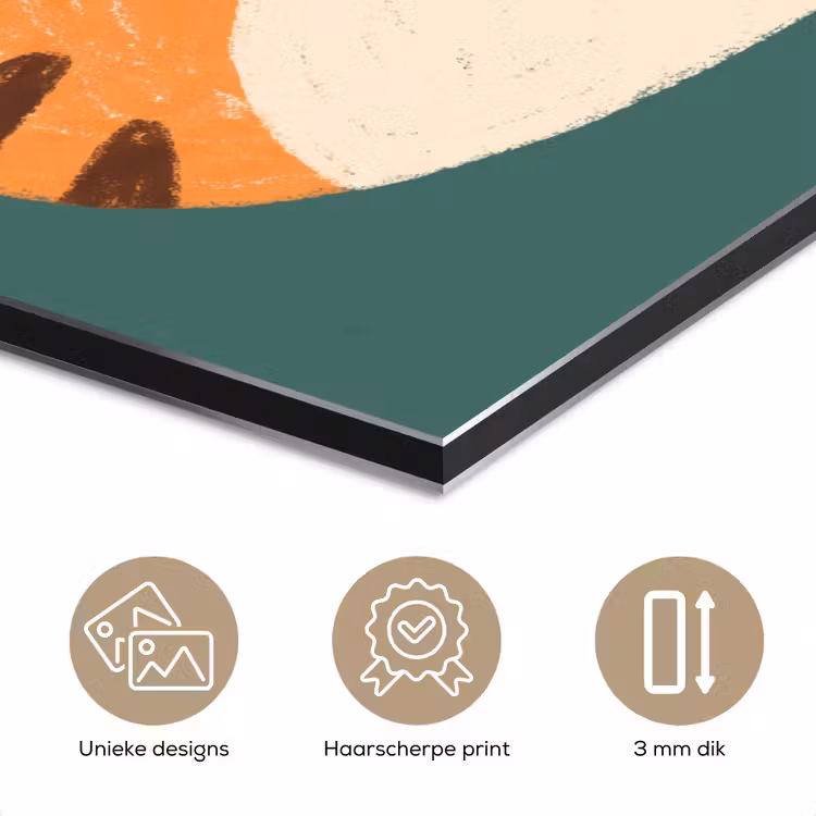 Aluminium schilderij - Dieren - Kop - Oranje - Illustratie - Modern — 7