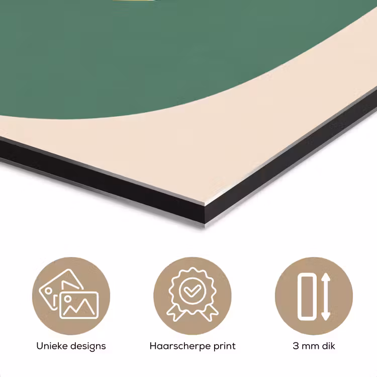 Aluminium schilderij - Dieren - Slak - Kleurrijk - Illustratie — 7