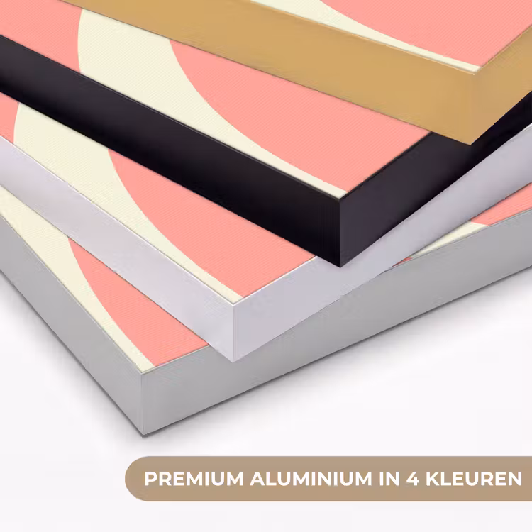 Art frame - Spiraal - Patroon - Abstract - Roze - Beige — 2