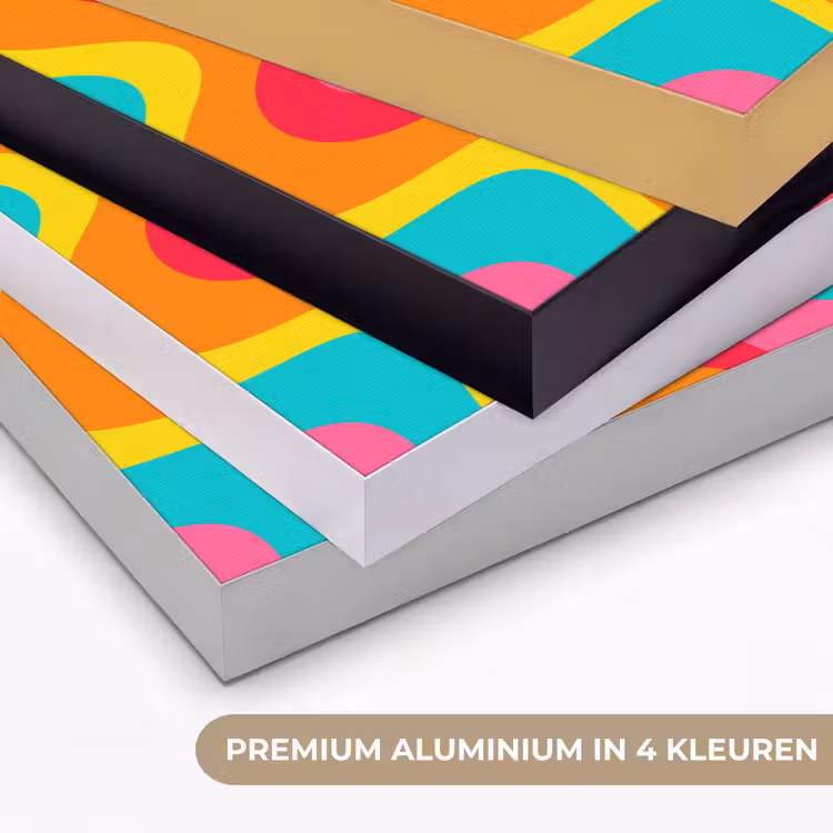 Art frame - Patroon - Golvend - Kleurrijk — 2