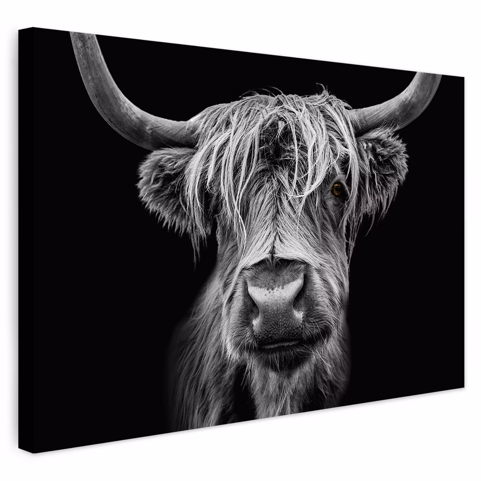 Buiten canvas - Schotse Hooglander - Horens - Zwart - Wit - Koe - Wild - Dieren — 1