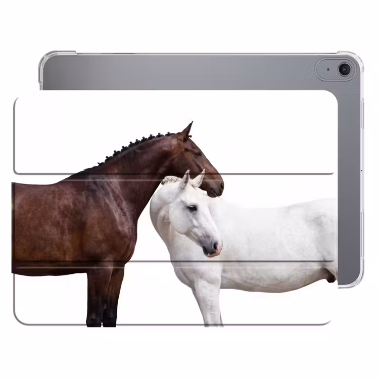 Paard - Modern - Balans — 1