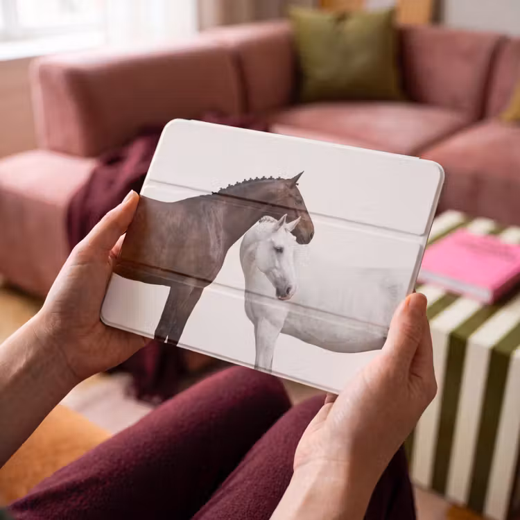 Paard - Modern - Balans — 4