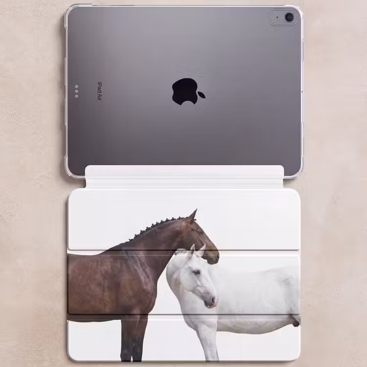 Paard - Modern - Balans — 6